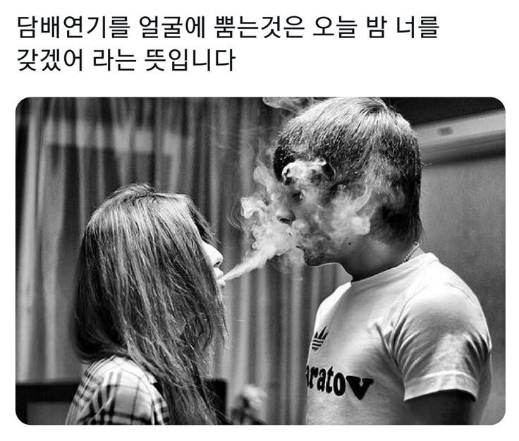 제비뱍새 tweet media