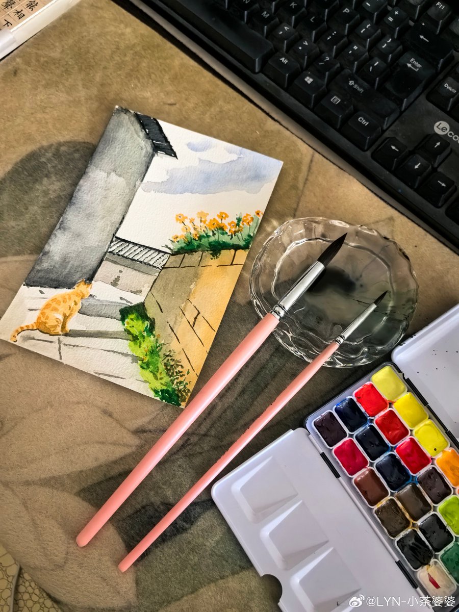 michiel dobroski tweet media