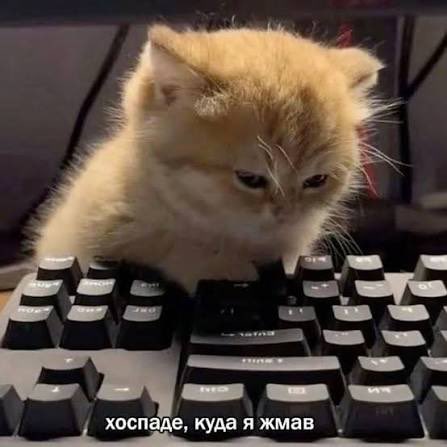 downfallen tweet media