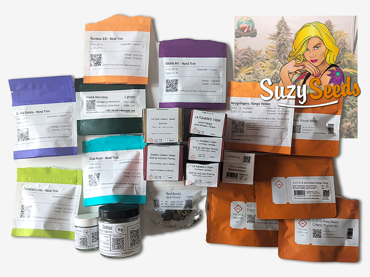 The Netherlands is the only country in Europe where you can legally buy recreational cannabis right now. New blog post: Everything you need to know about the Dutch cannabis pilot experiment. suzyseeds.com/blog/post/dutc…