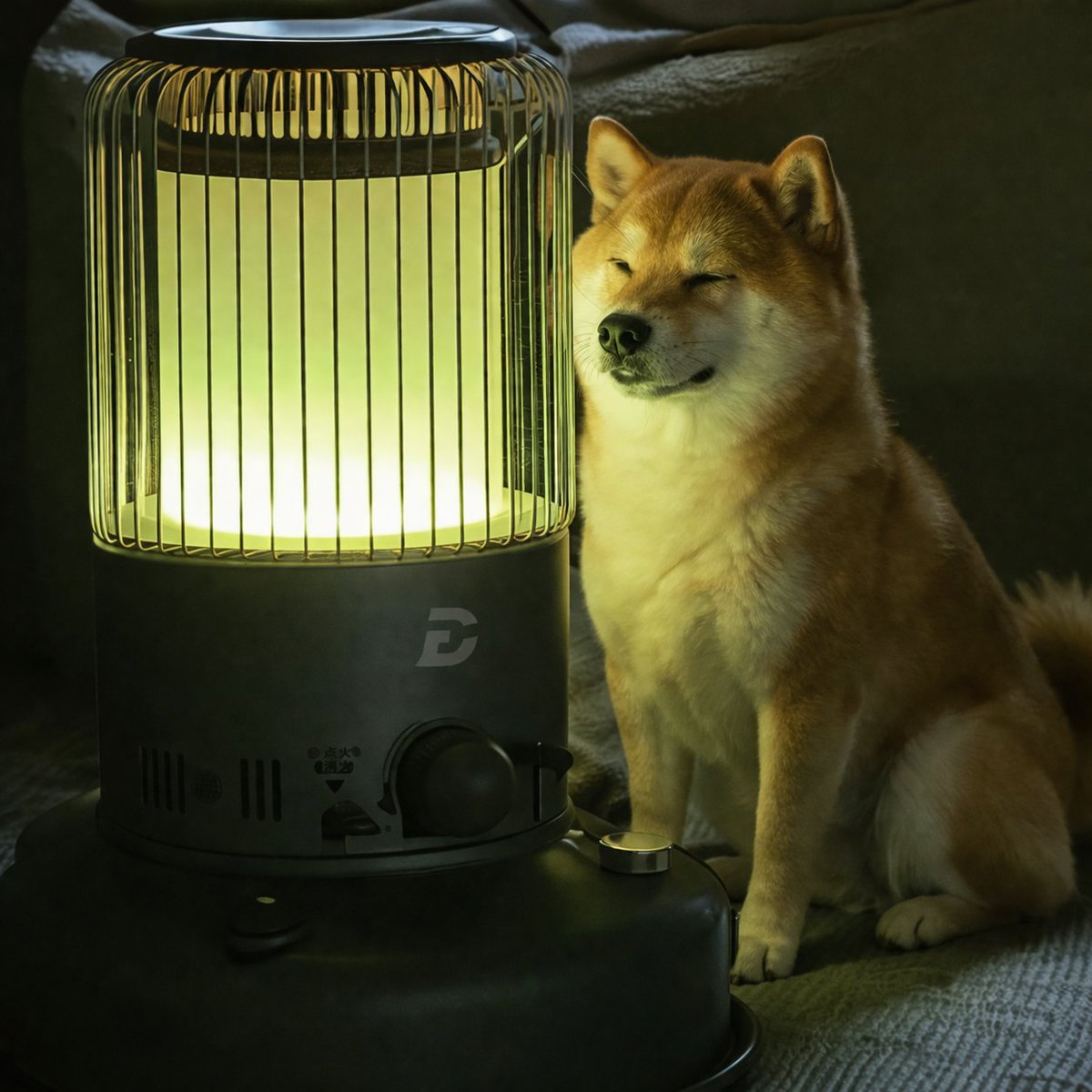 DigiFinex Global tweet media