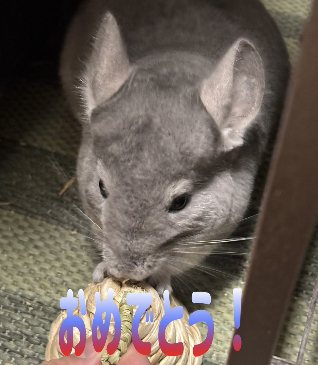 かれん tweet media