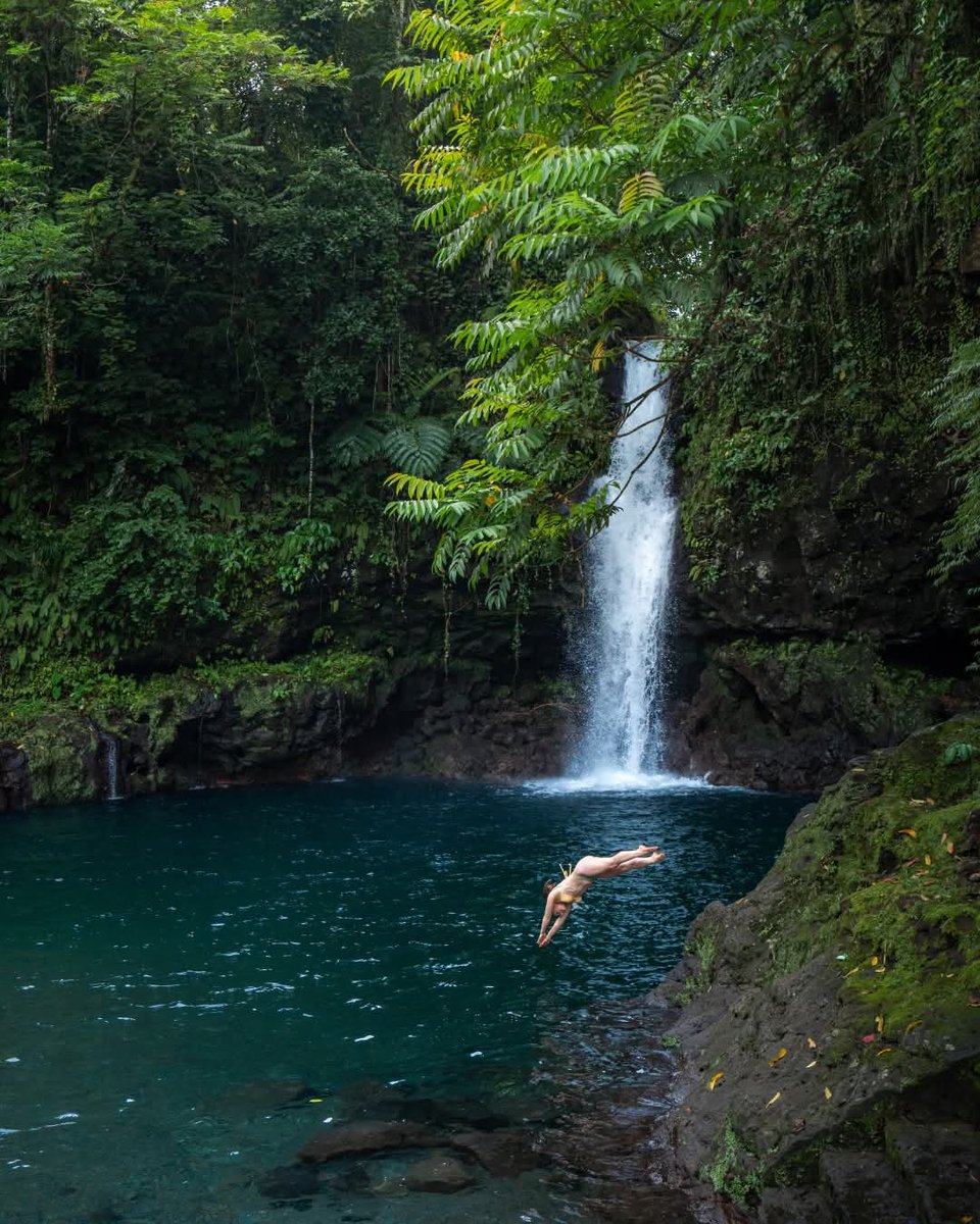RepPlusUK's tweet image. A short jungle walk leads to one of Samoa’s most breath-taking natural wonders: Afu Aau Waterfall. Hidden in the lush rainforest of Savai‘i, this stunning cascade flows into a crystal-clear pool that’s perfect for a refreshing swim. 

#DiscoverBeautiful #Samoa #RepPlusClient
