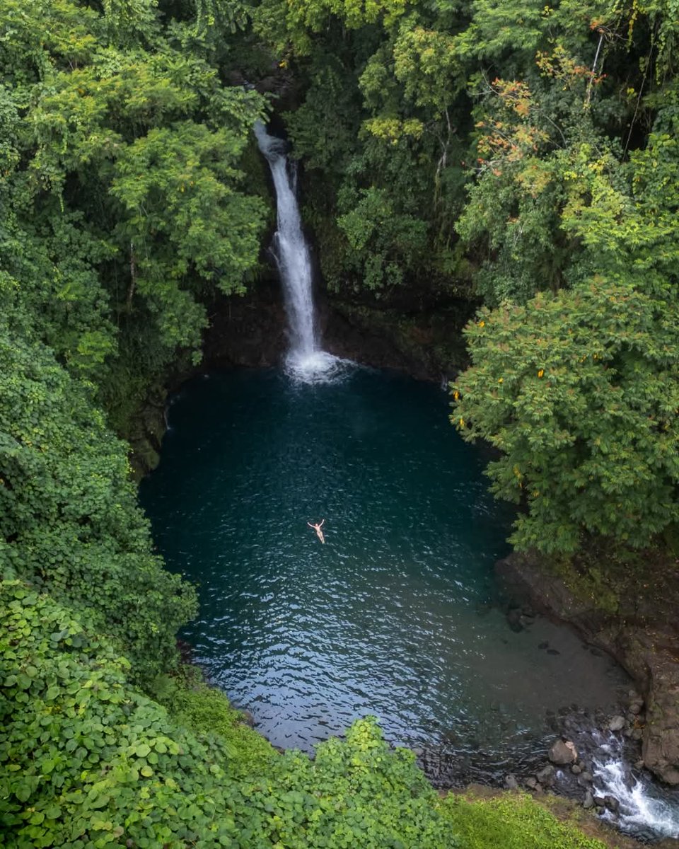RepPlusUK's tweet image. A short jungle walk leads to one of Samoa’s most breath-taking natural wonders: Afu Aau Waterfall. Hidden in the lush rainforest of Savai‘i, this stunning cascade flows into a crystal-clear pool that’s perfect for a refreshing swim. 

#DiscoverBeautiful #Samoa #RepPlusClient