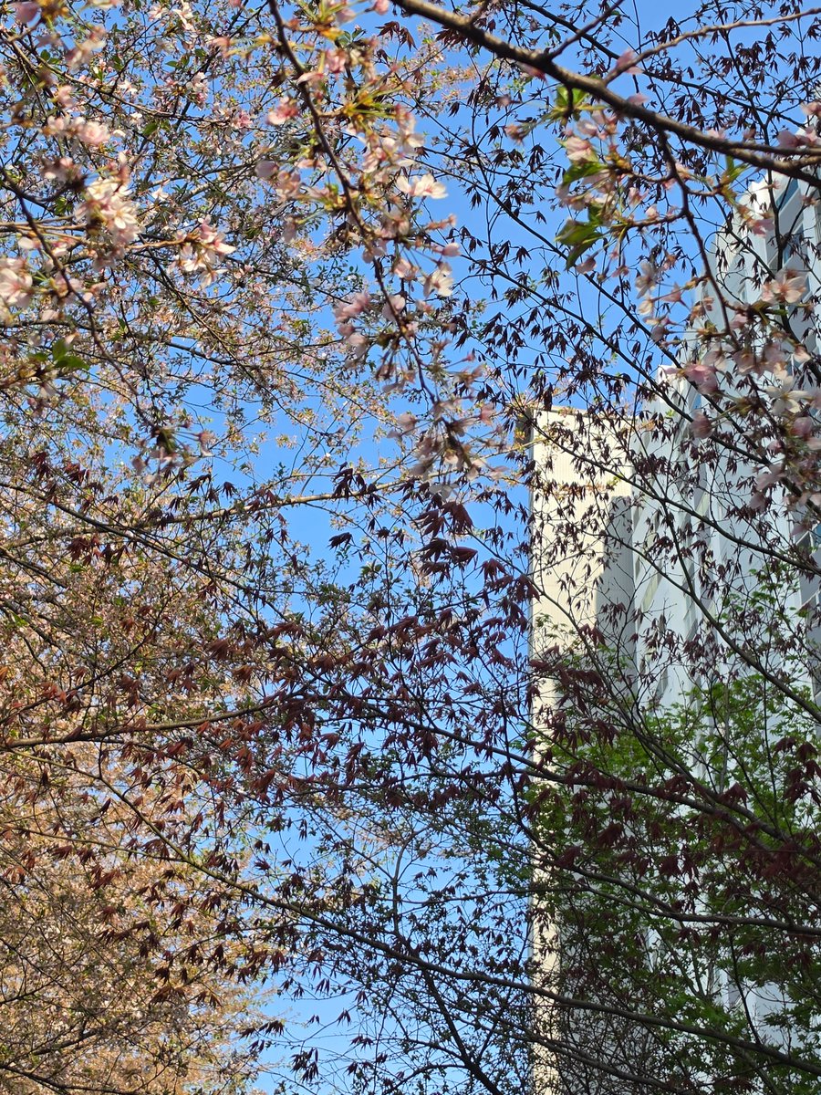 채하 트친소 tweet media