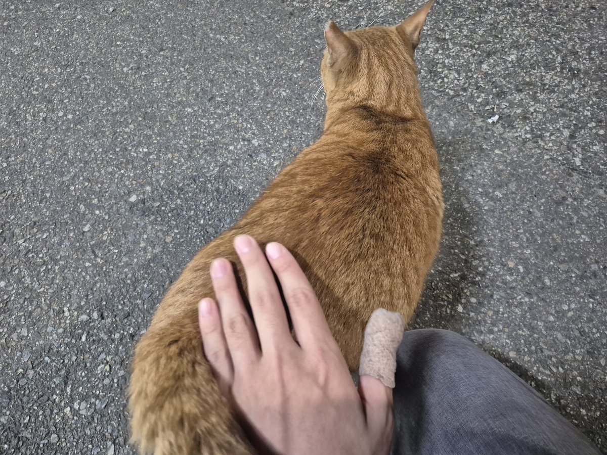 사뇽풀무니 tweet media