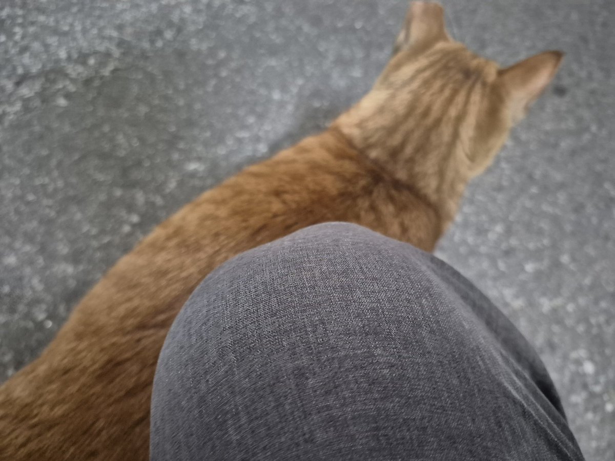 사뇽풀무니 tweet media