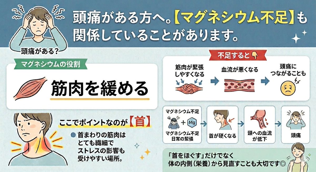 医食同源Lab tweet media