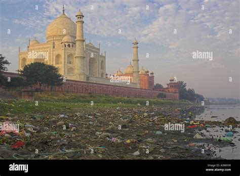 DaughterOfAlbion tweet media