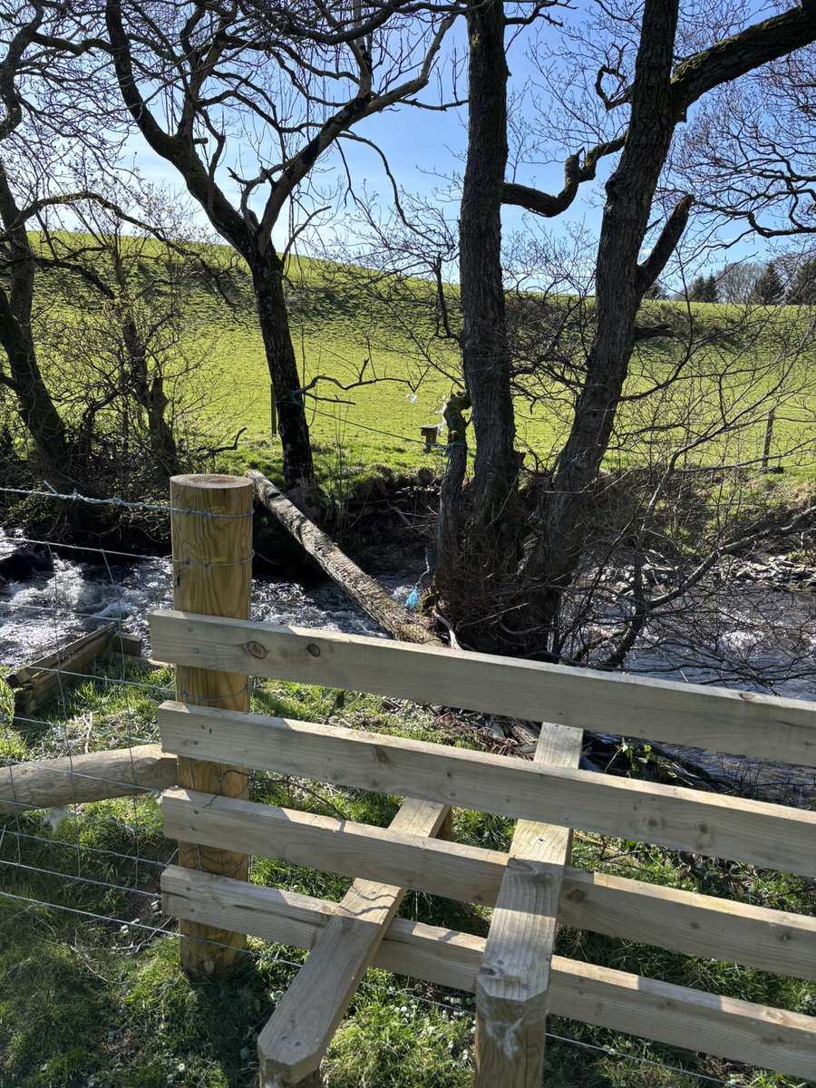 ceadela's tweet photo. @tutty352 @Soapy_Wit_Tank @tismenic70 @LordOrk @RuthRendell1 @CharlesBewley2 @LansdellMum @Yeti98_ Farmers’ stiles and bridge over beck #recentarchive https://t.co/PtjuimuUCj