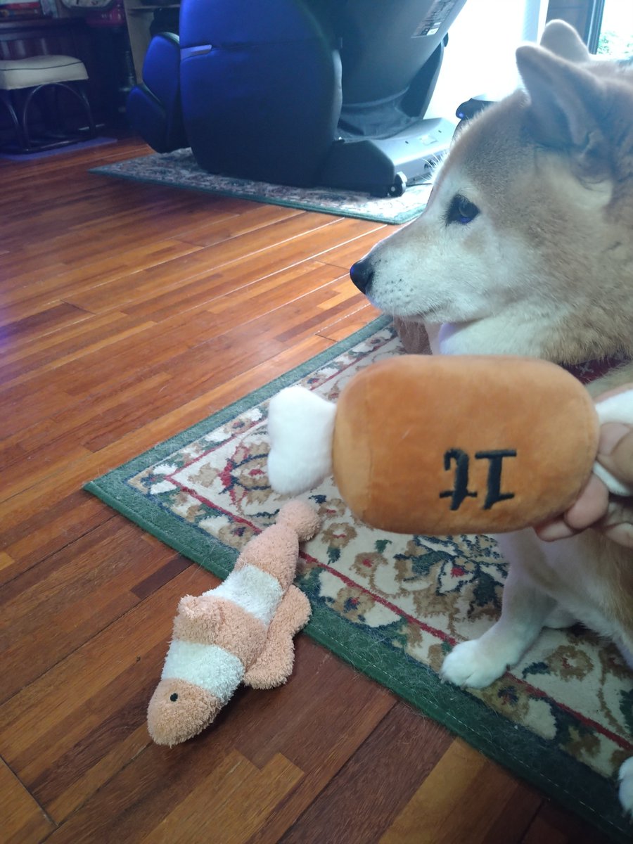 朝市ラムウ tweet media