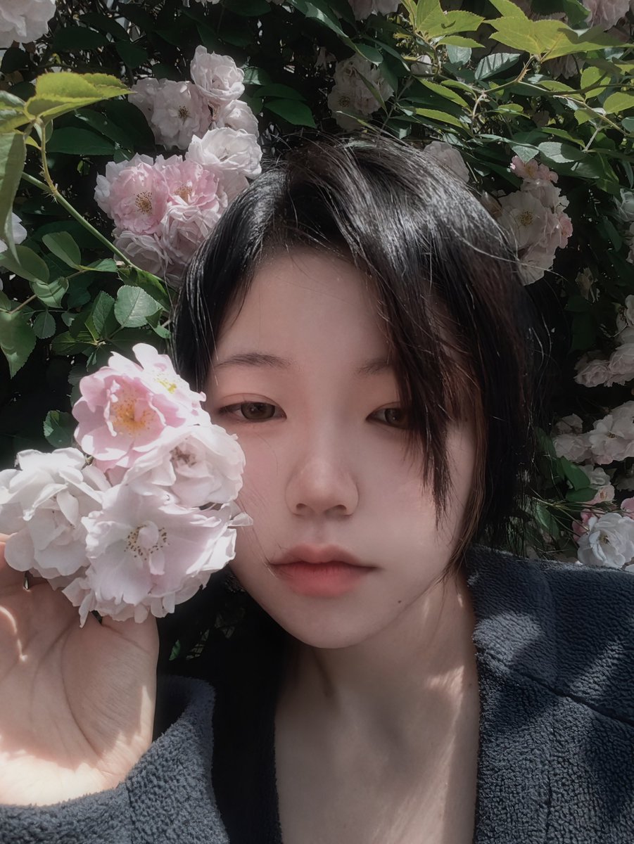 不安定鼠鼠 tweet media