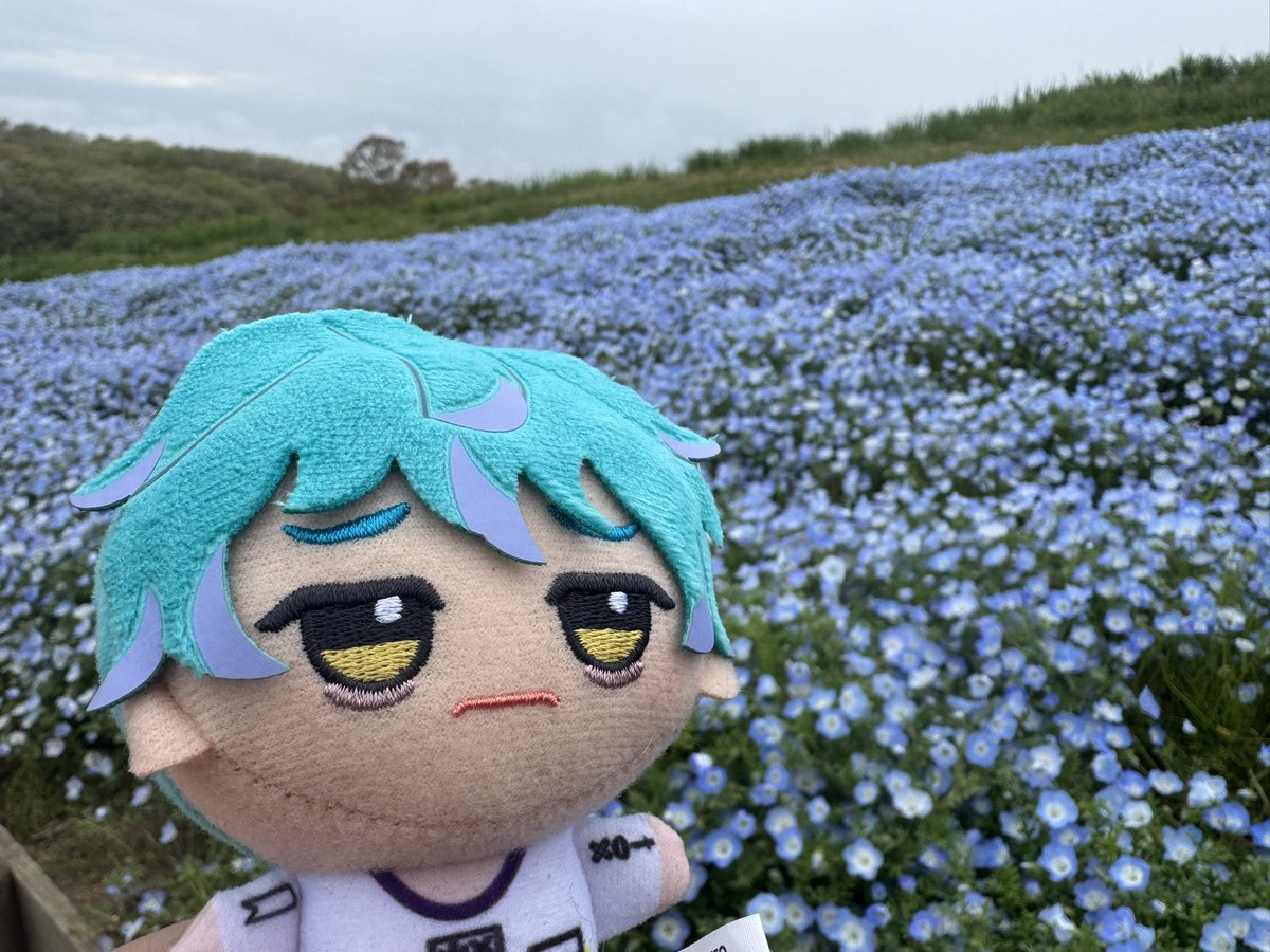 KAWATA_115's tweet photo. \…皆様の目を汚してしまい…すみません……/ https://t.co/ABAEOu7J02