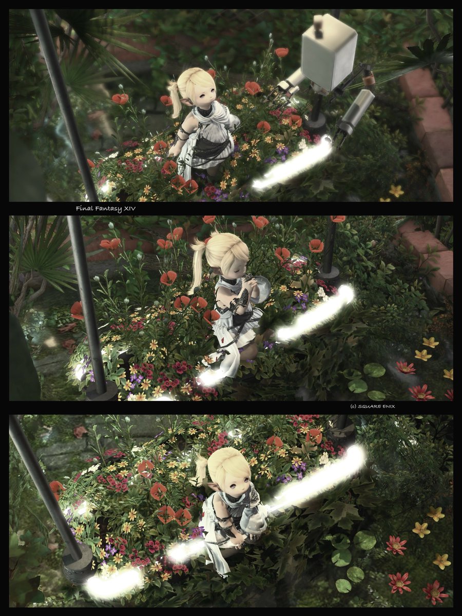 𝙍𝙞𝙖 tweet media