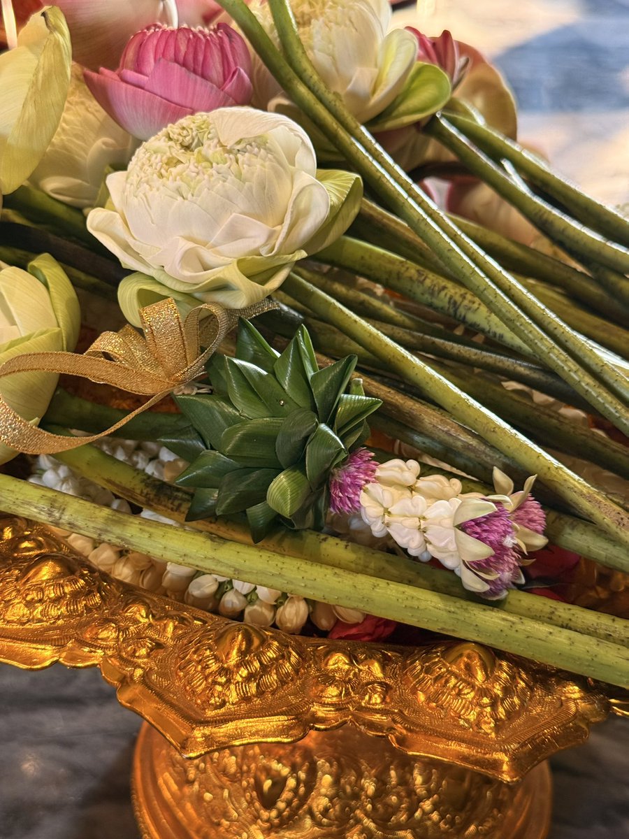 กวย🦭 tweet media