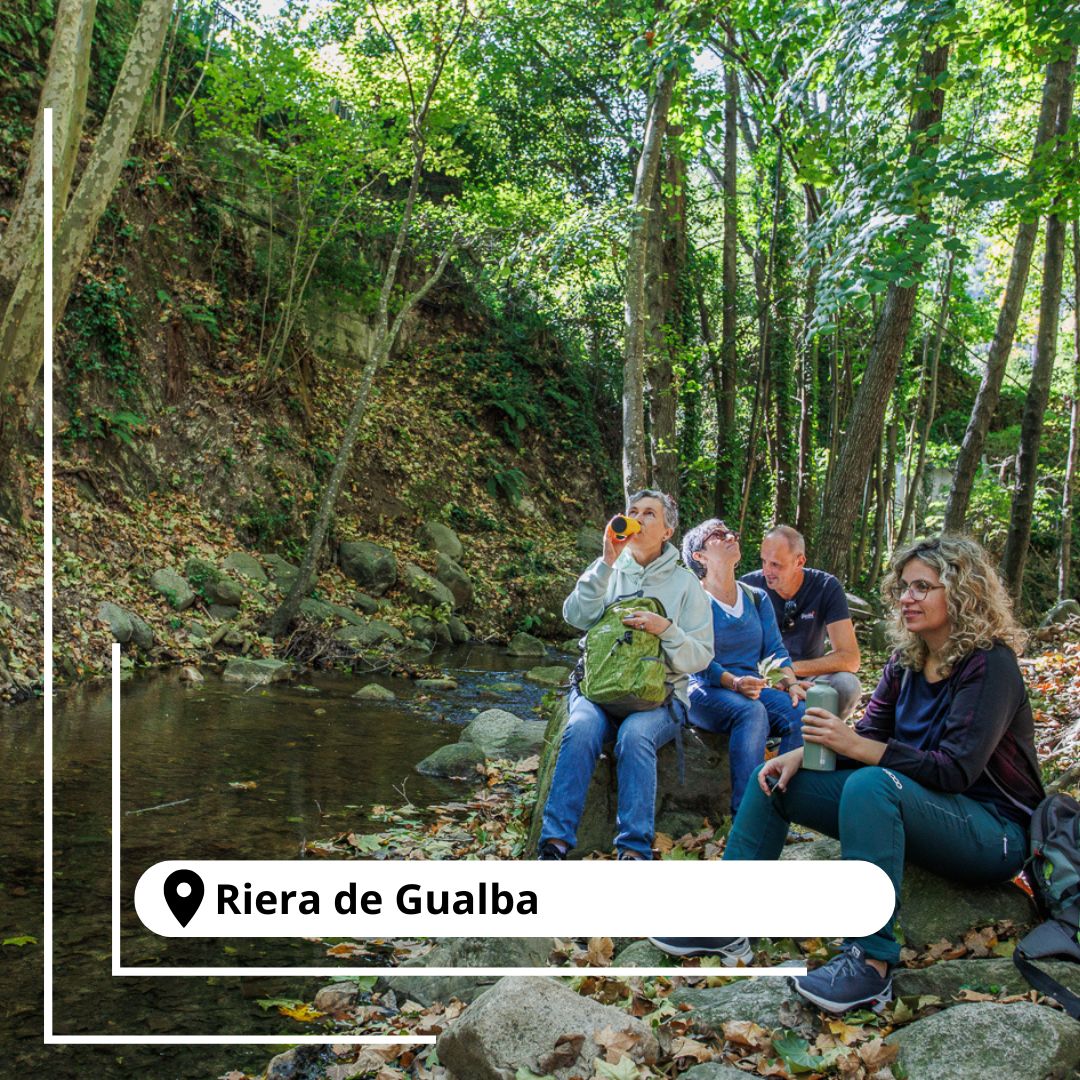Turisme Montseny tweet media