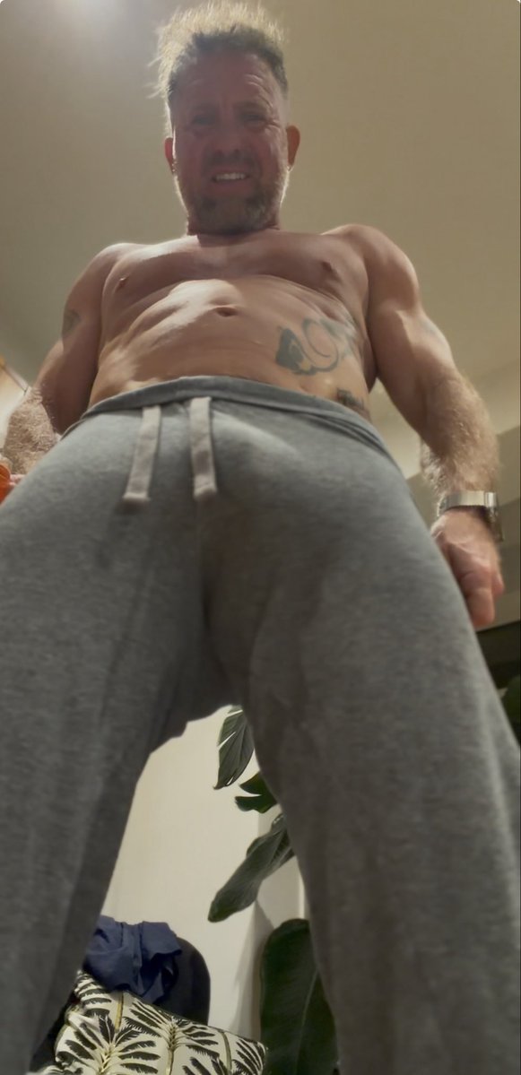 Master Windsor tweet media