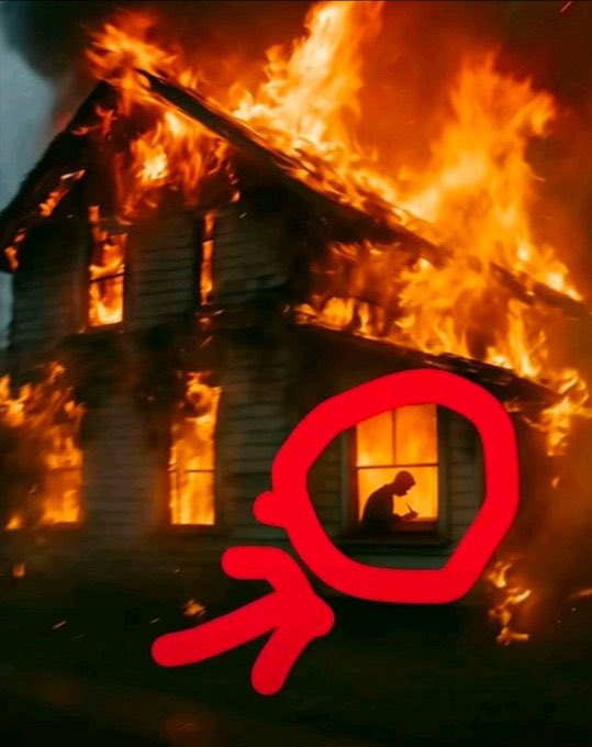 🏳️⚧️Auka💜🌸 tweet media