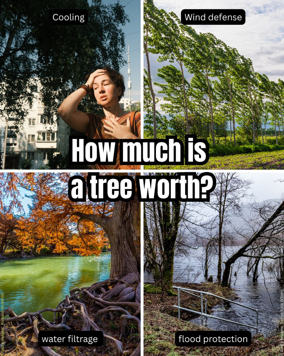 EU Environment tweet media