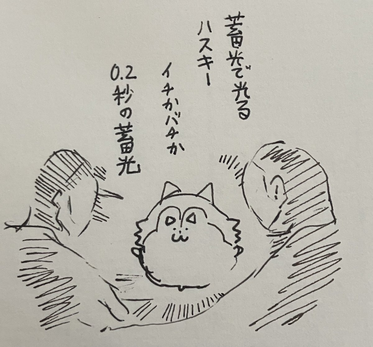 おはん tweet media