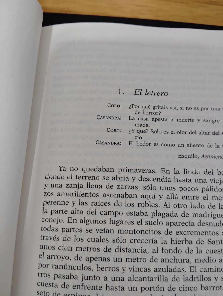 Iria 🛰️🍀💙 tweet media