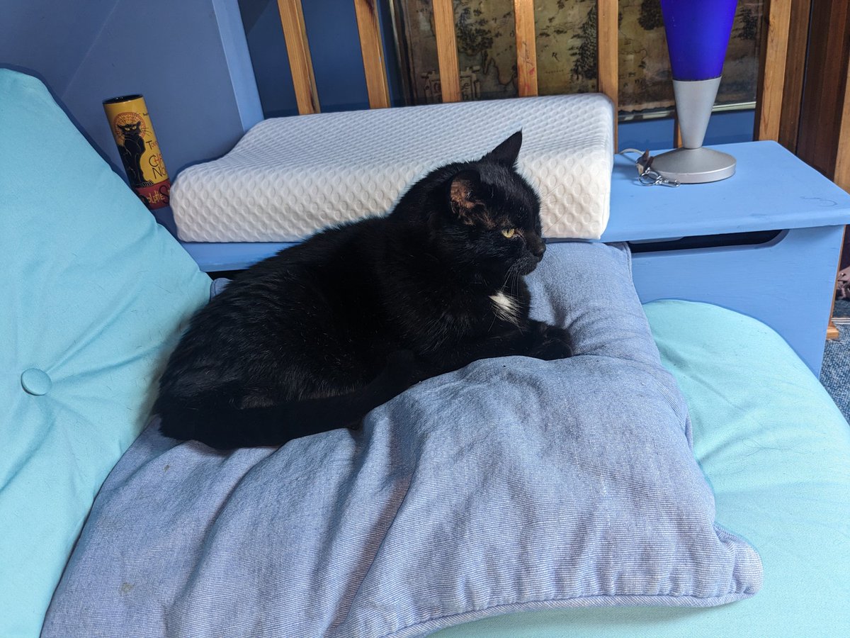 Kate (πᵗʰ ideal Willshaper) tweet media