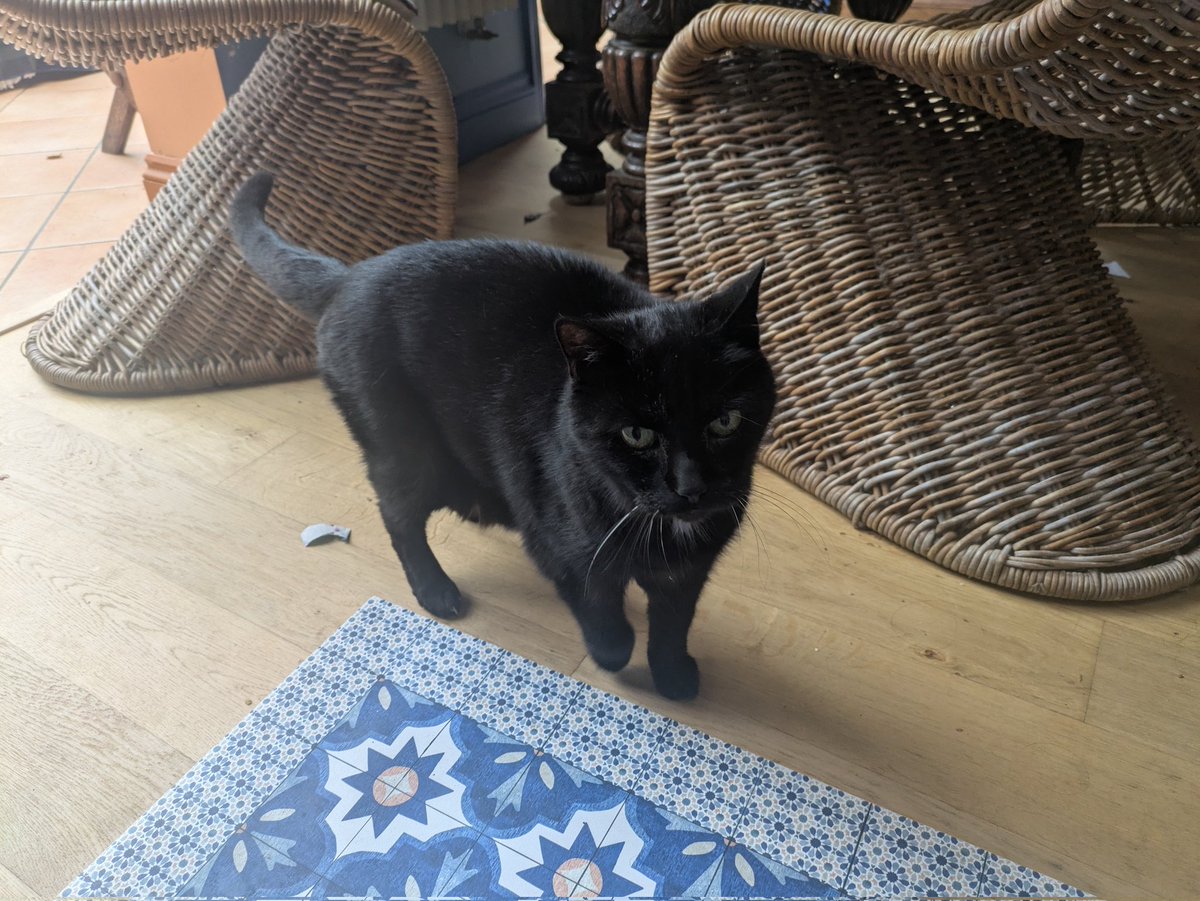 Kate (πᵗʰ ideal Willshaper) tweet media