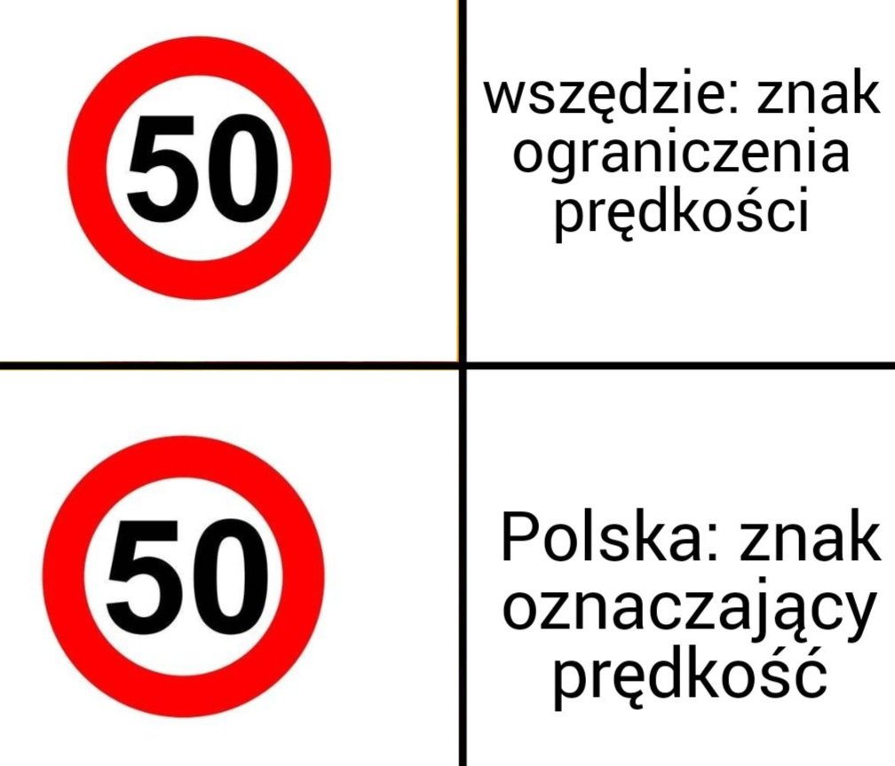 Tynx 🚹 tweet media