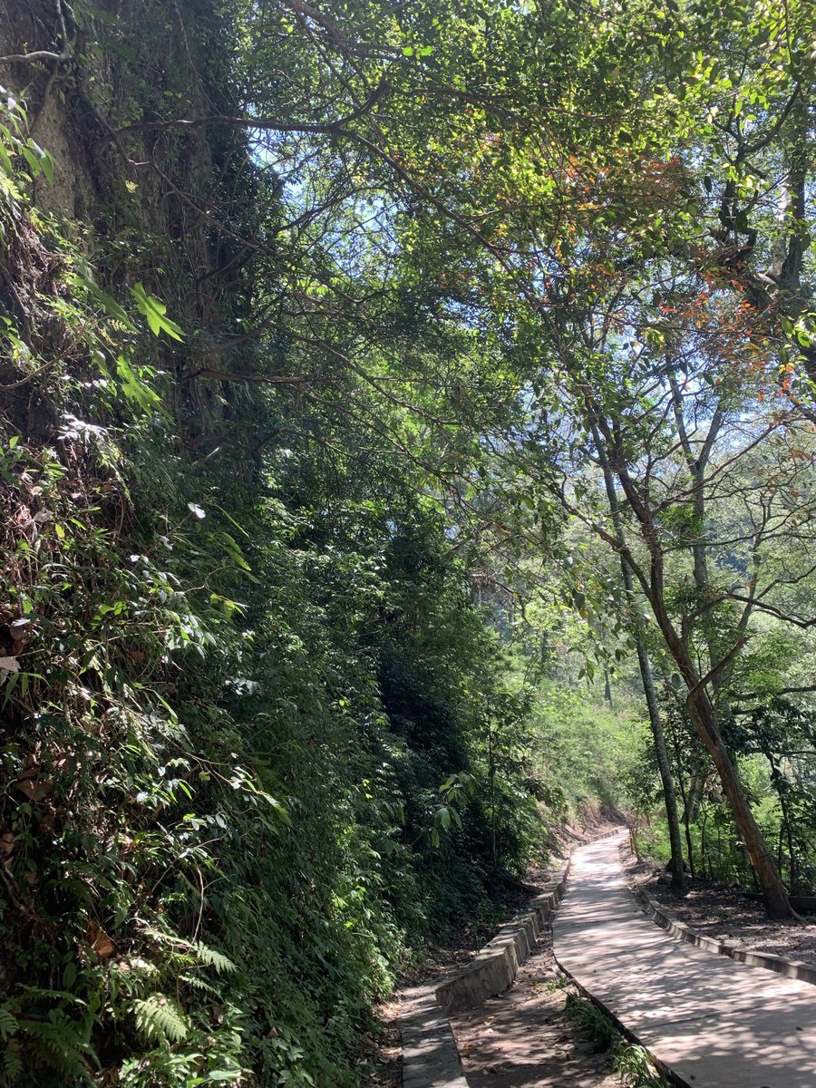 Hallo_Bandung tweet media