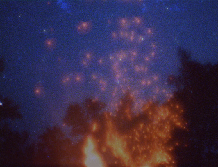 Experimental Cinema tweet media