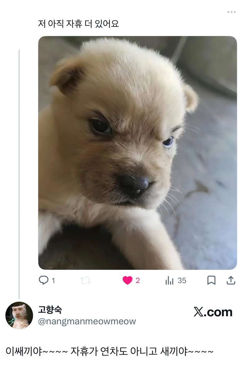 고향숙 tweet media