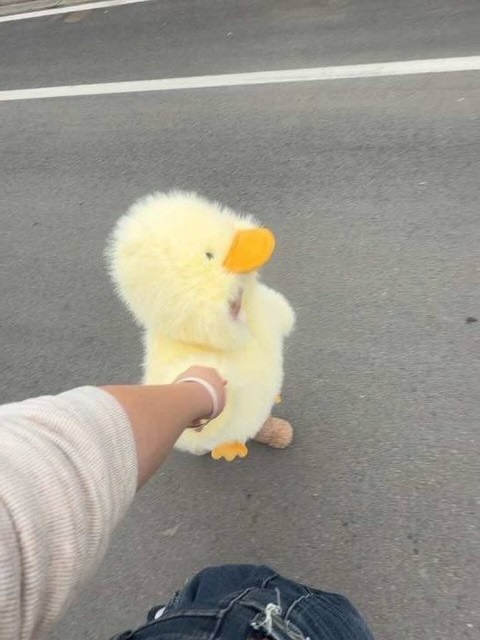 VibeArchive tweet media