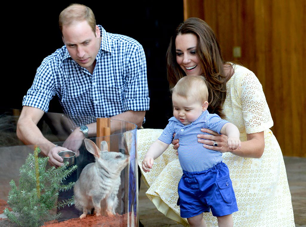 audrey_fforbes's tweet image. Two Royal babies (and two future Kings) visit Australia 🇦🇺🐨
#PrinceWilliam #PrinceGeorge