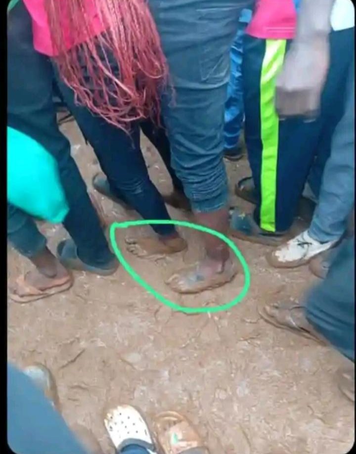 drety2003's tweet photo. Unaezadhani hawa ni wakulima kumbe ni comrades wa kisii wanapewa rwabe rwabe na Kasongo https://t.co/alaCnbqHki