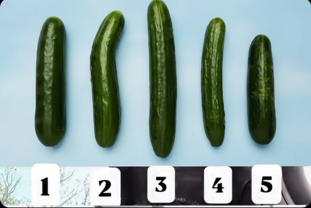 دلوع 🥹🇪🇬 tweet media