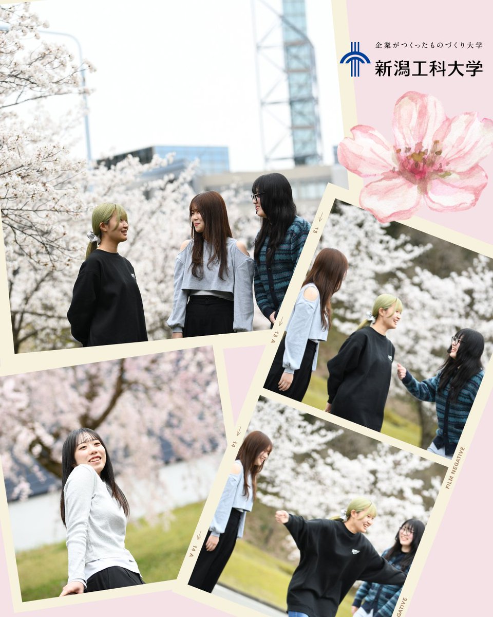 春のキャンパスは、学生と桜が主役🌸

キャンパスの桜が満開で、学生とパシャリ📸

#新潟工科大学 #桜と学生 #春のキャンパス #大学生活 #キャンパスフォト #春の景色 #春っていいね
