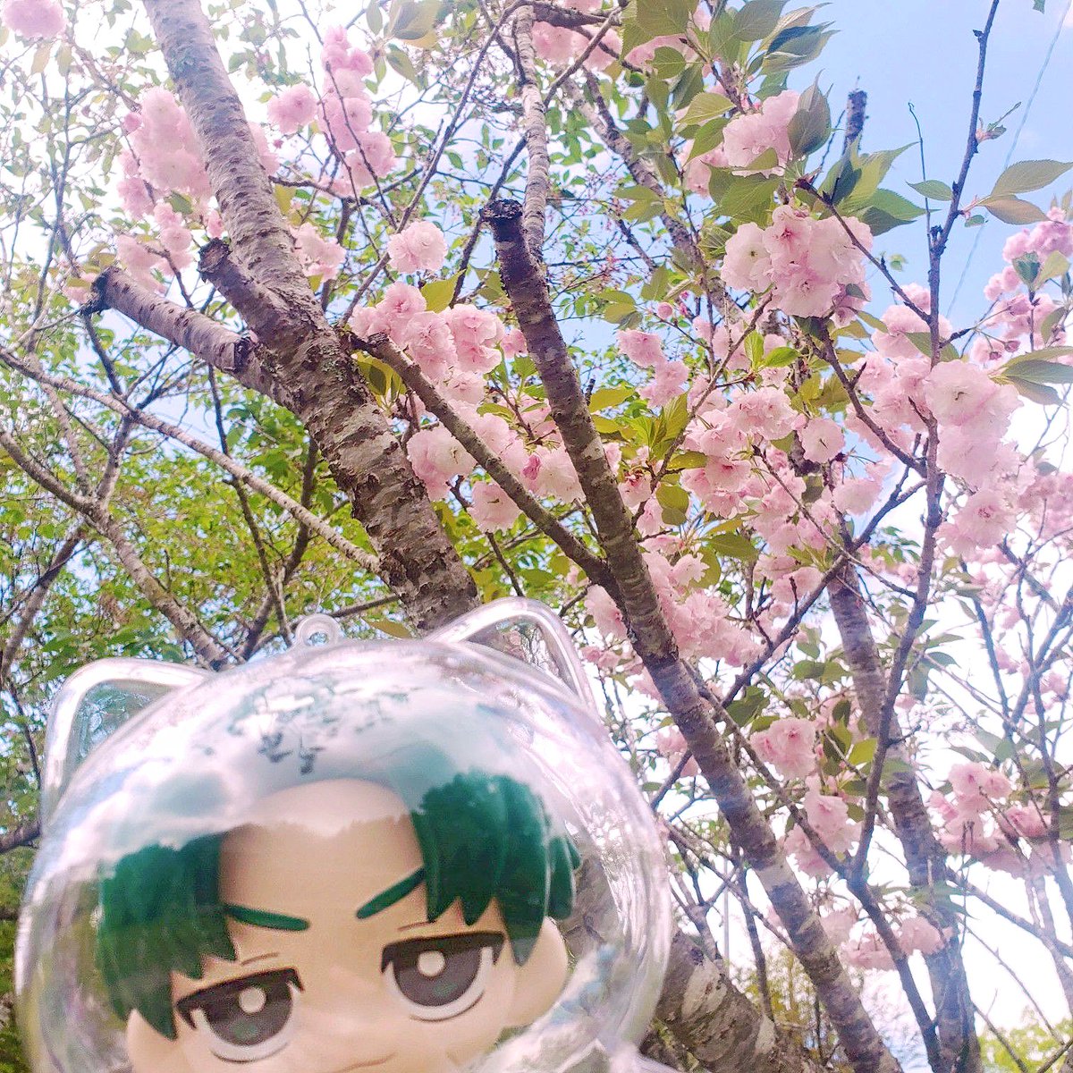 もねこ tweet media