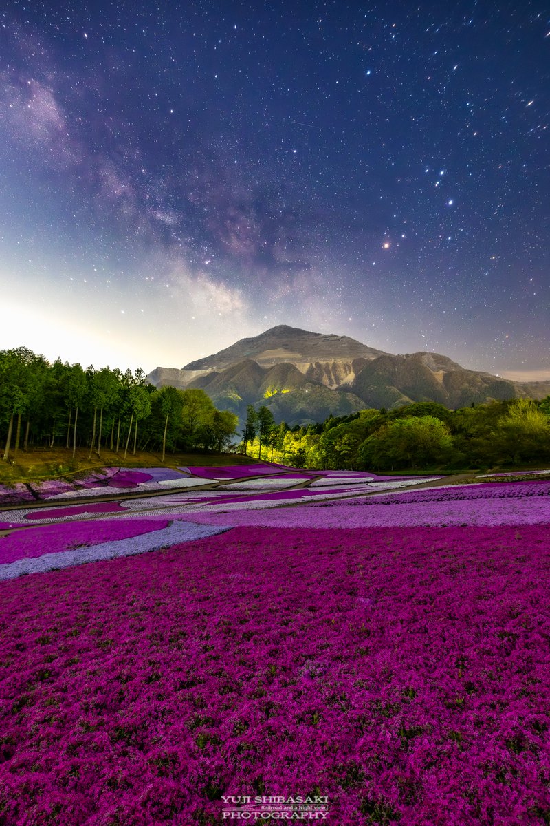 Yuji Shibasaki＠Photo tweet media