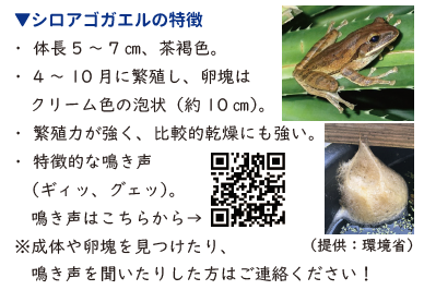 瀬戸内町 tweet media