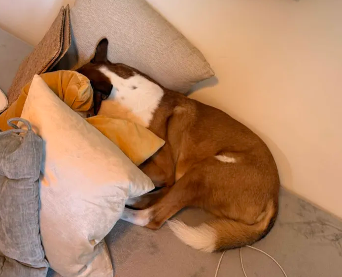 Aaron.Trades tweet media