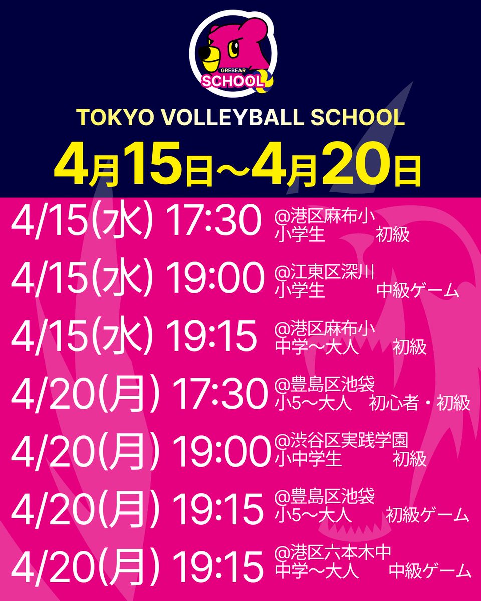 東京グレートベアーズ【バレースクール】 tweet media