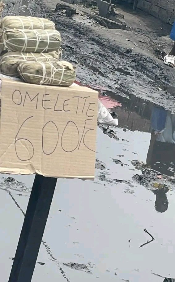 𝕄𝕣 𝕜𝕖𝕖𝕓𝕖 🇨🇩 tweet media