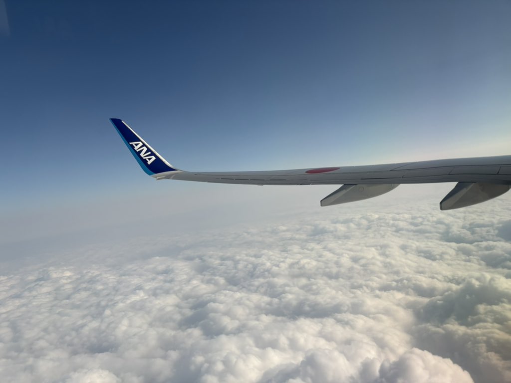 みあおい♪🐱🐈✈️*⋆✈︎ฅ^o̴̶̷̤ ࿁ o̴̶̷̤^ฅ tweet media