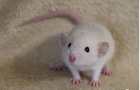 ꒰Danny♡֯Edward tweet media