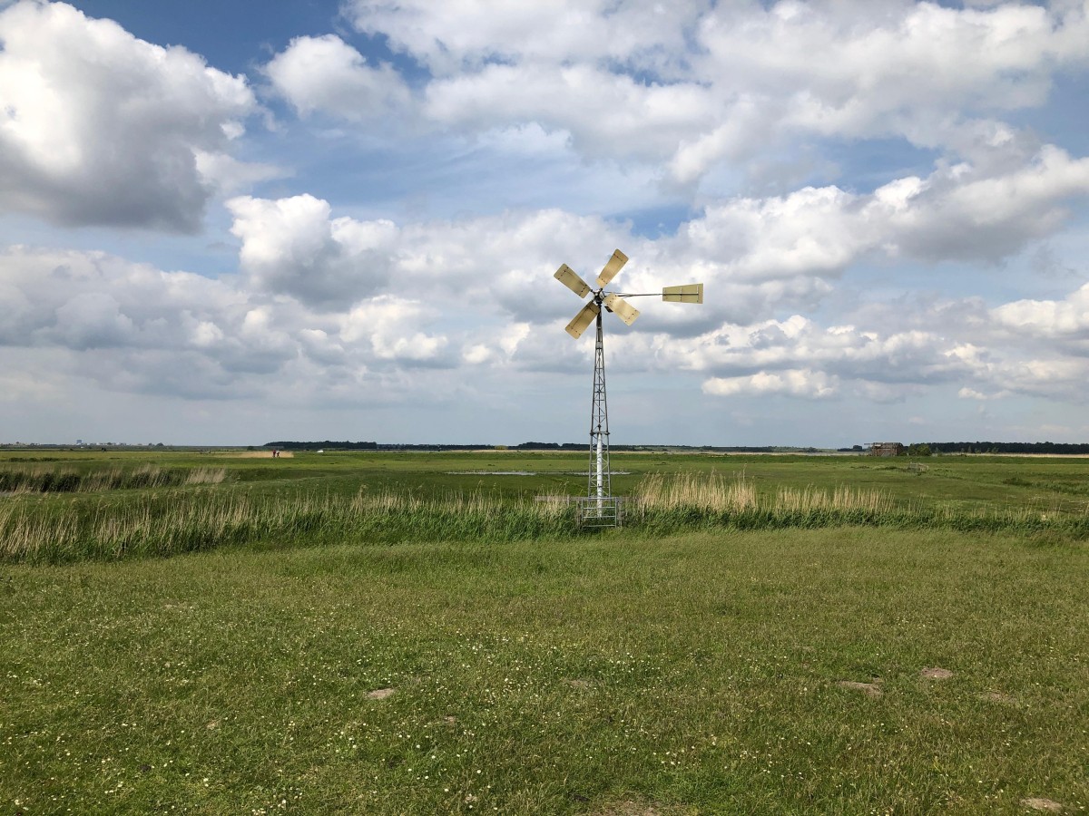 wandelnet's tweet image. #weekendwandeltip 🌱 Weidevogels zijn sinds maart terug! 🪺

In de Eempolder (bij Baarn) spot je ze volop. Etappe 9 vh Zuiderzeepad loopt hier doorheen. Ga je dit weekend op pad? Neem je verrekijker mee!

Lees 👉 bit.ly/48xV6mU

📸 Wandelnet

@ProvUtrecht 

#weidevogels