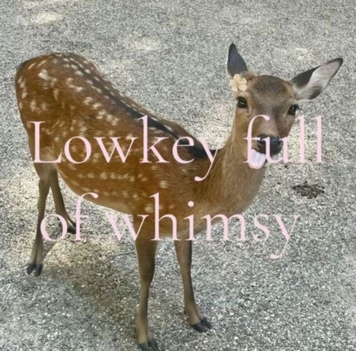 ଘ(੭*ˊᵕˋ)੭* ੈ♡‧₊˚ tweet media