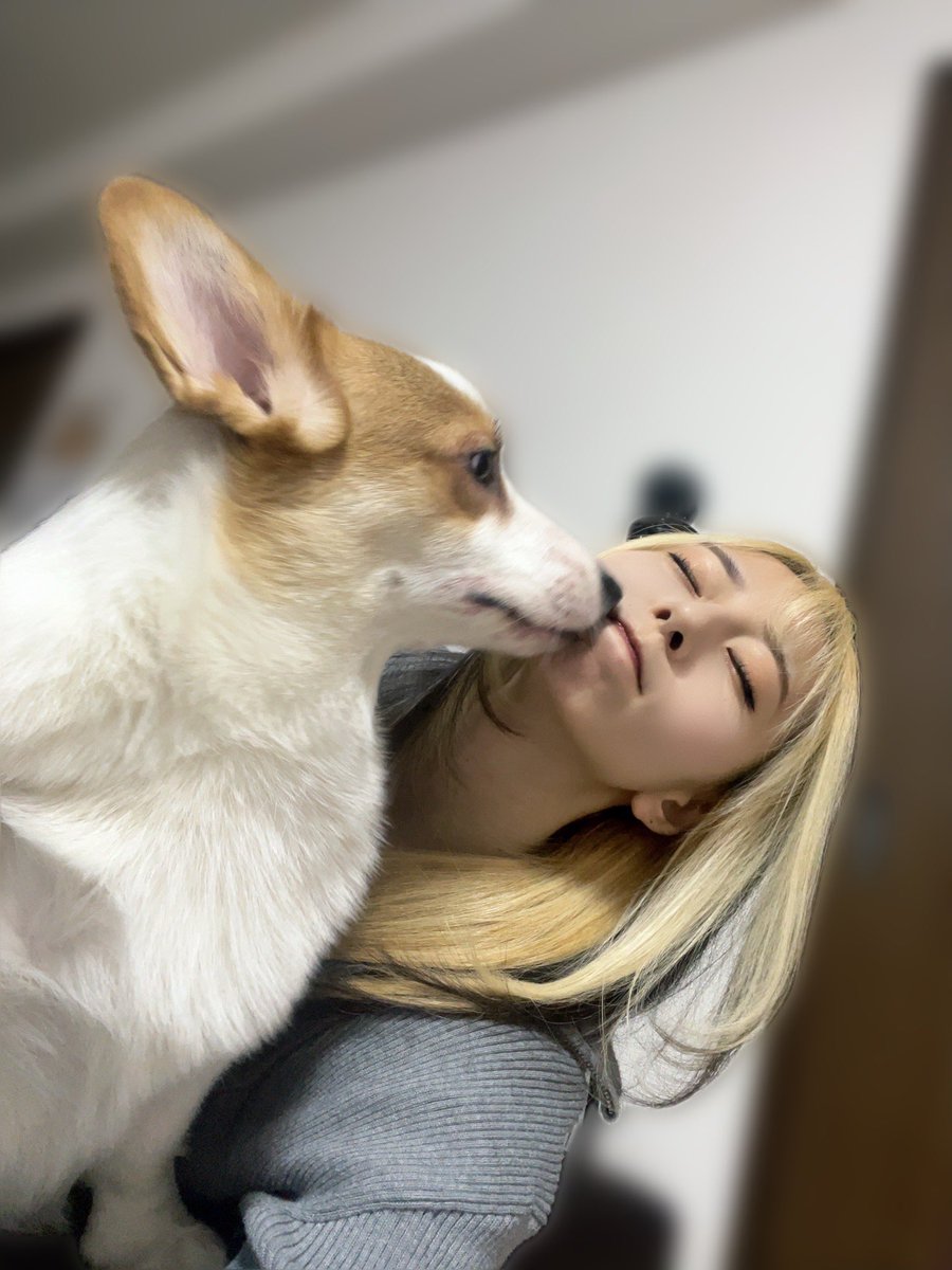 しずく@WOLFRAM tweet media