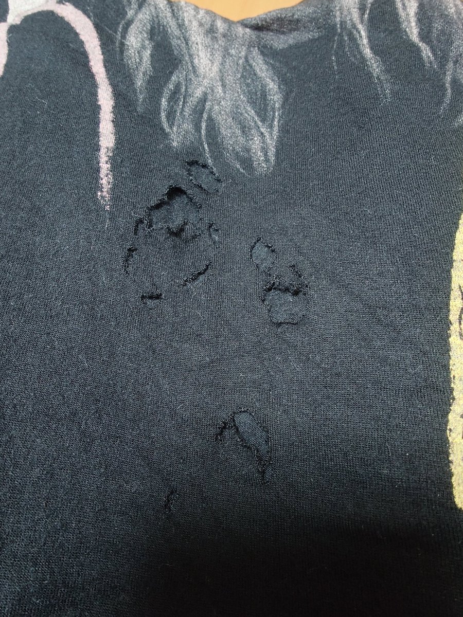 🐹saki🐹 tweet media