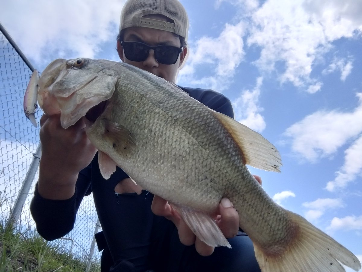 donguri1030350's tweet image. 春のミノーゲーム！

＃MODE
＃FAITH
＃EVERGREEN