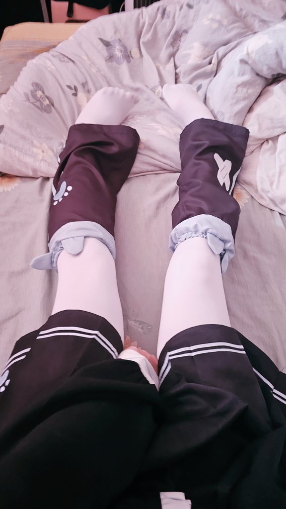MEMZMeow's tweet photo. 小短腿） https://t.co/E1I0StpU7L